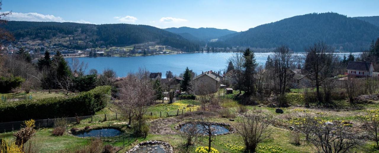 Moho Mountain Home Gérardmer Εξωτερικό φωτογραφία