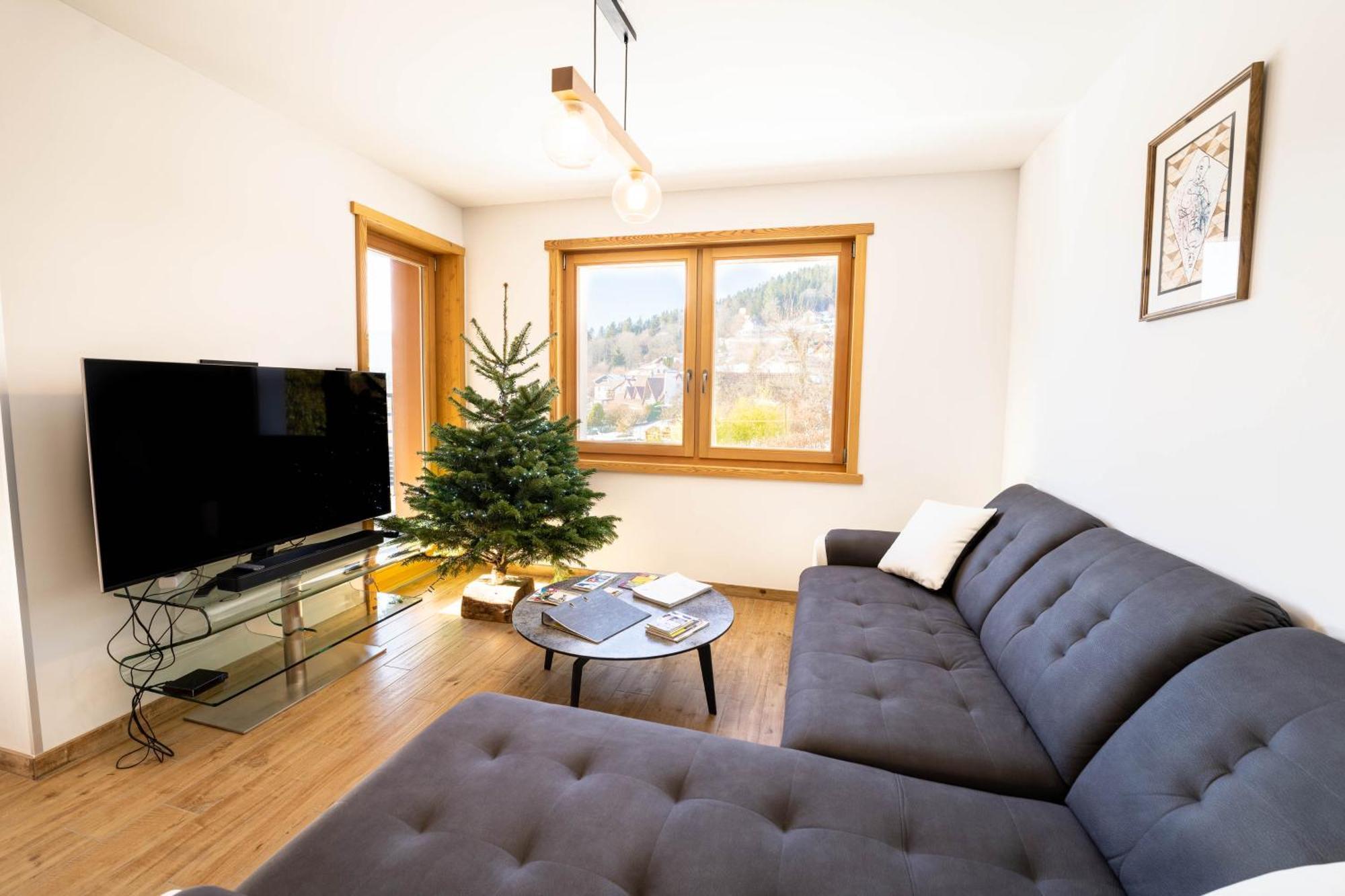 Moho Mountain Home Gérardmer Εξωτερικό φωτογραφία