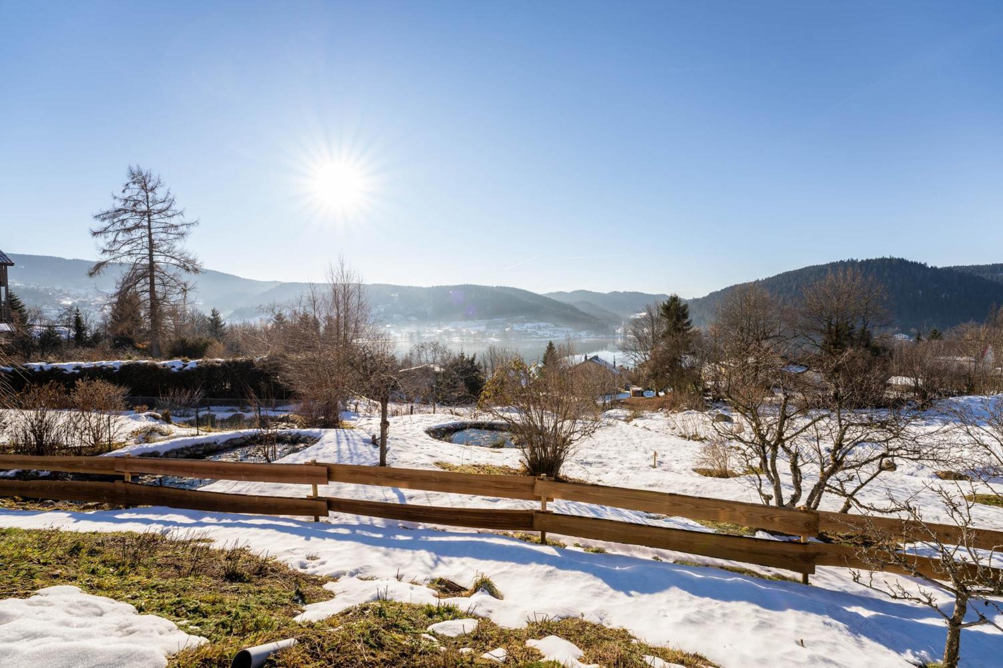Moho Mountain Home Gérardmer Εξωτερικό φωτογραφία